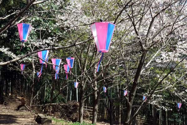 🏯 이와야 33관음 및 관음 마애불군(이와야 산주산칸논 칸논마애불군) 이미지 9